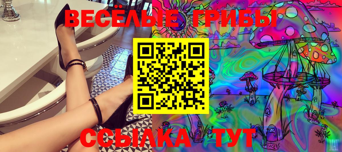 Псилоцибиновые грибы Cubensis Черкесск