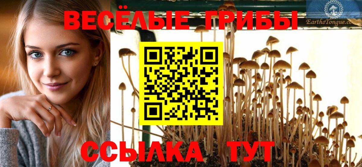 Псилоцибиновые грибы Psilocybine cubensis  Вход с VPN  Галлюциногенные грибы мицелий  Черкесск 
